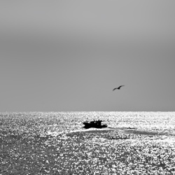 dailyPhoto37