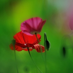 dailyPhoto24