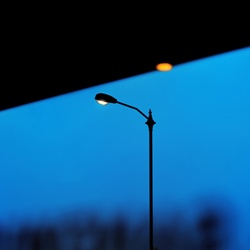 dailyPhoto40
