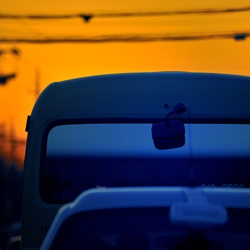 dailyPhoto10