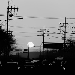 dailyPhoto2