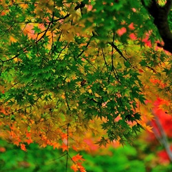 dailyPhoto23