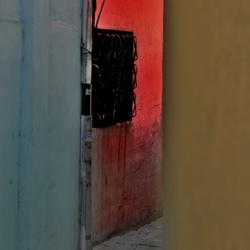 dailyPhoto35