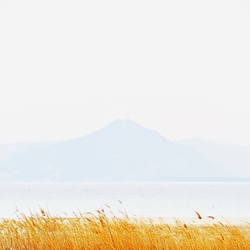 dailyPhoto11