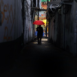 dailyPhoto13