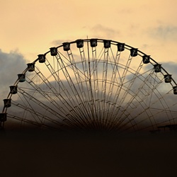 dailyPhoto13