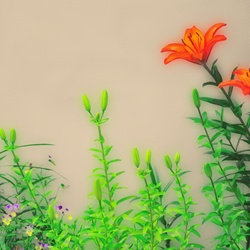 dailyPhoto23