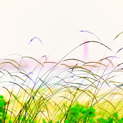 dailyPhoto11