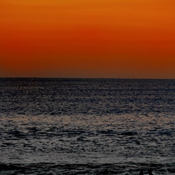 dailyPhoto8