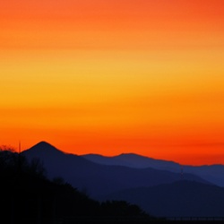 dailyPhoto4