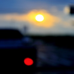 dailyPhoto36