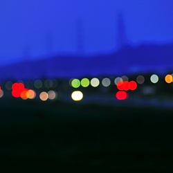 dailyPhoto5
