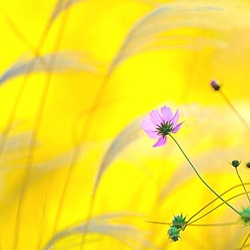 dailyPhoto9