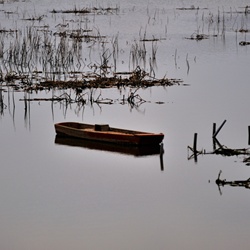 dailyPhoto15