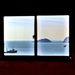 dailyPhoto12