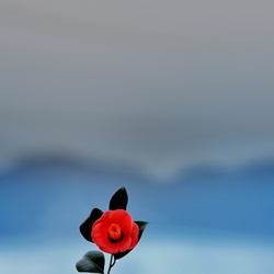 dailyPhoto8