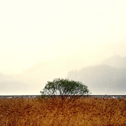 dailyPhoto37