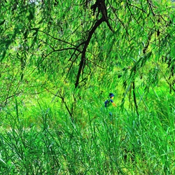 dailyPhoto33