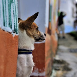 dailyPhoto19