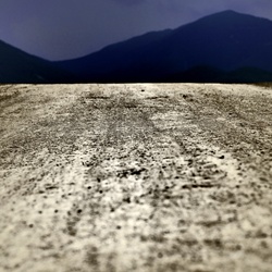 dailyPhoto26