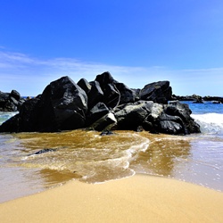 dailyPhoto33