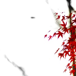 dailyPhoto29