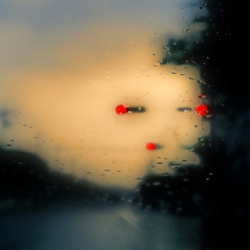 dailyPhoto19