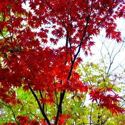 dailyPhoto35