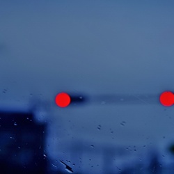 dailyPhoto38