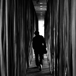 dailyPhoto35