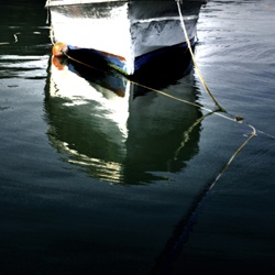 dailyPhoto25