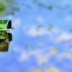 dailyPhoto7