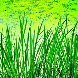 dailyPhoto12