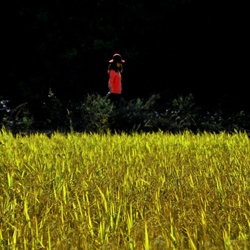 dailyPhoto34
