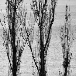 dailyPhoto32
