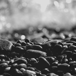 dailyPhoto37