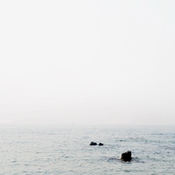 dailyPhoto31