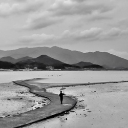 dailyPhoto19