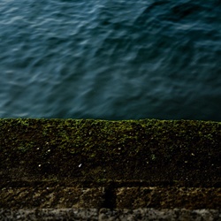 dailyPhoto28