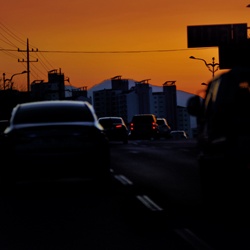 dailyPhoto20