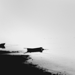 dailyPhoto1