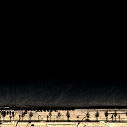 dailyPhoto8