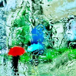 dailyPhoto38