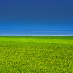 dailyPhoto11