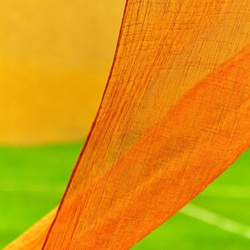 dailyPhoto40