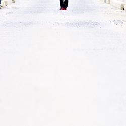 dailyPhoto1