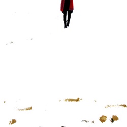 dailyPhoto8