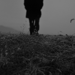 dailyPhoto12