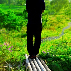 dailyPhoto35