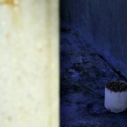 dailyPhoto25